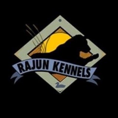 Rocky Top Kennels partner training