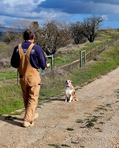 Rajun Kennels off-leash dog training Central California agility tunnel